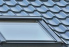 Buchanskylight-replacements.jpg; ?>